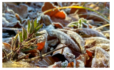 Moskvada şaxta düşəcəyi barədə xəbərdarlıq edildi