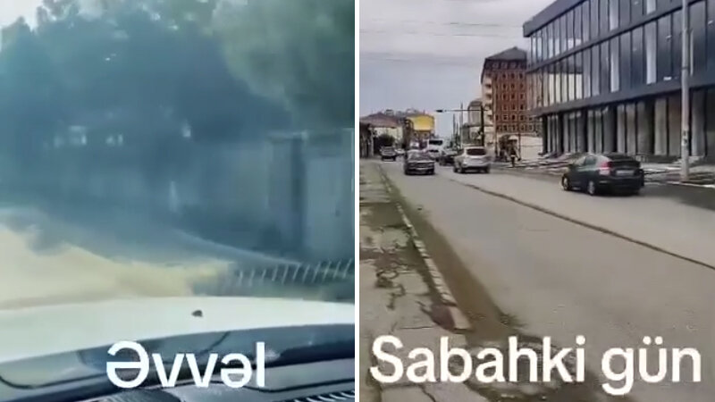 Masazırda obyekt sahibi ağacları "soyqırımına" məruz qoyub (VİDEO)