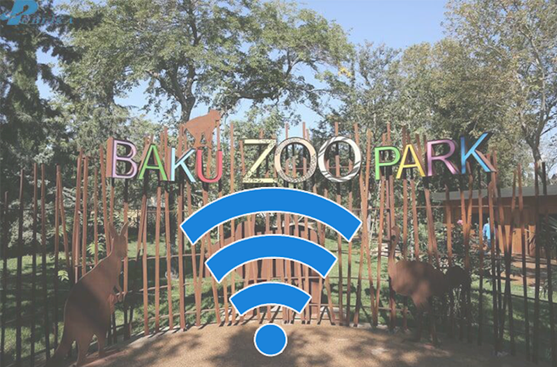 "Bakı Zooparkı" internet üçün hər ay 1 230 manat xərcləyəcək