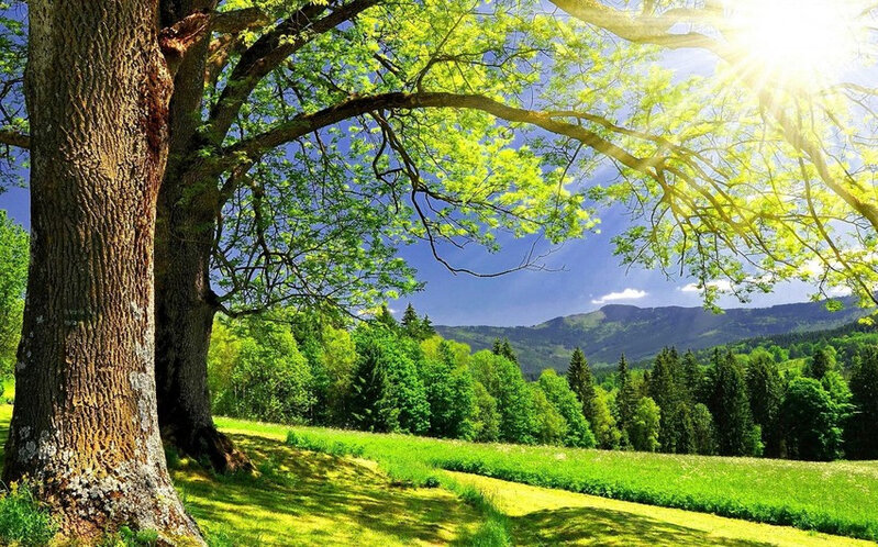 Sabah 25 dərəcə isti olacaq