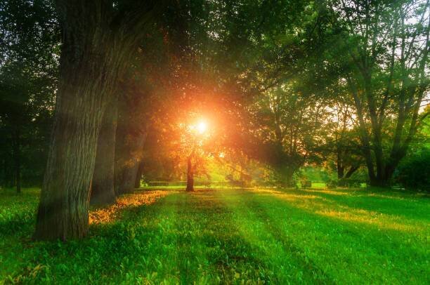 Azərbaycanda iyun ayının hava proqnozu AÇIQLANDI