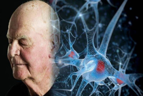 Beyin qocalmasını ləngitməyin yolu AÇIQLANDI