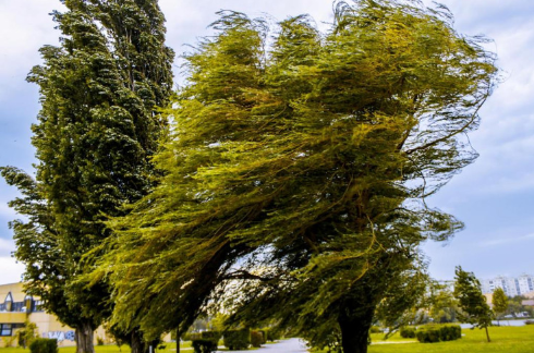 Hava XƏBƏRDARLIĞI