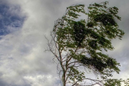 Küləkli hava şəraiti ilə bağlı sarı xəbərdarlıq edilib