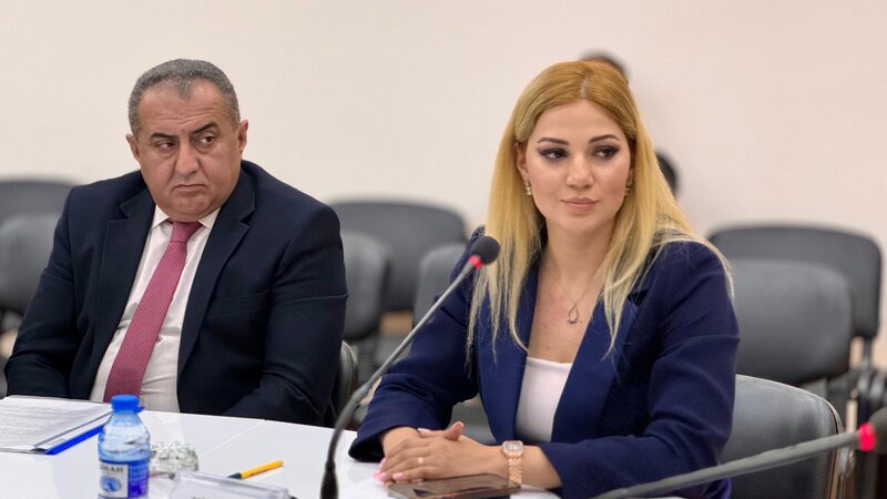 Jurnalistlər "İnsan hüquqları aylığı" çərçivəsində keçirilən təlimdə iştirak ediblər - FOTOLAR