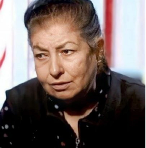 Elmira Əliyevanın oğlu: "Anam dünyasını dəyişəndə heç bir sənət yoldaşı bizə başsağlığı vermədi"