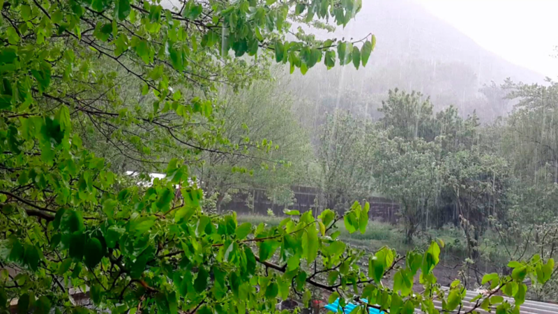 Şənbə günü hava yağıntılı olacaq