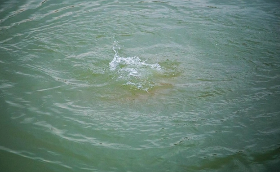 Sumqayıtda dənizdə batan qadının meyiti tapıldı