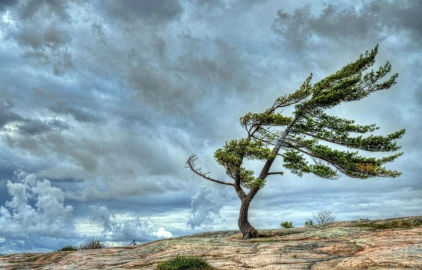 Küləkli hava şəraiti ilə bağlı sarı XƏBƏRDARLIQ