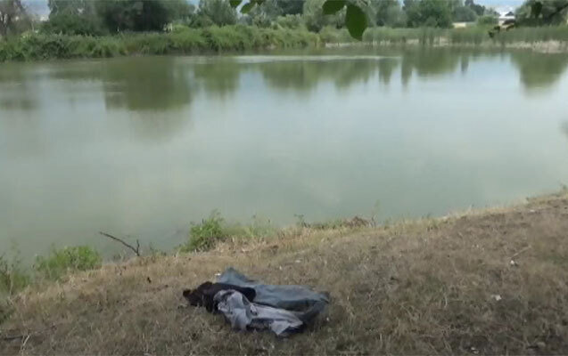 Heyvanı xilas etmək istəyərkən özü öldü