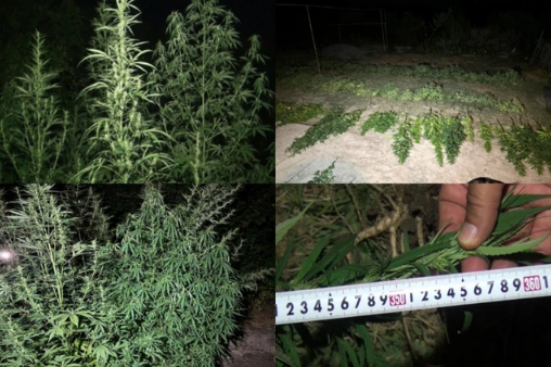 Sabirabad polisindən ƏMƏLİYYAT: İki qardaş tutuldu