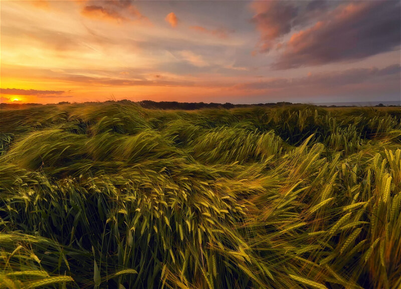 Bəzi rayonlarda gözlənilən güclü küləklə bağlı sarı və narıncı xəbərdarlıq edilib