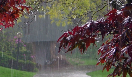 Şimşək çaxır, bəzi yerlərə leysan yağır - FAKTİKİ HAVA