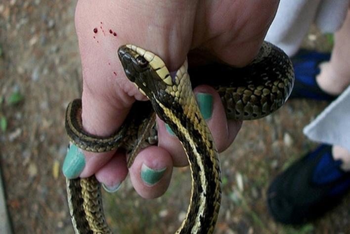 Naxçıvanda hamilə qadını ilan vurdu