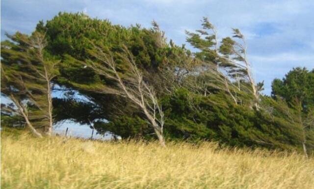 Hava ilə bağlı XƏBƏRDARLIQ - Bu tarixdə...