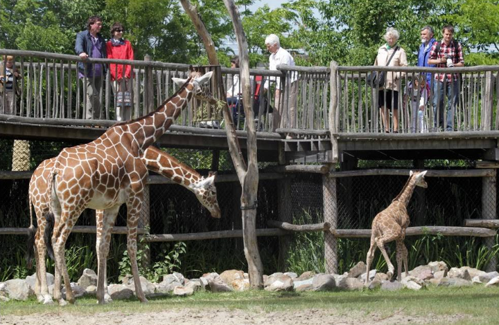 Bakı Zooloji Parkında bilet qiyməti qalxdı