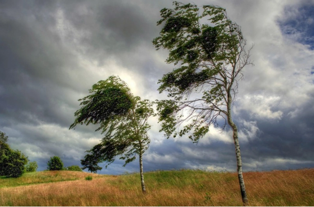 Bəzi bölgələrdə küləkli havaya görə sarı xəbərdarlıq edilib