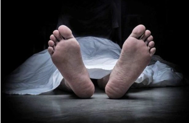 Ağacdan yıxılan kişi xəstəxanada öldü