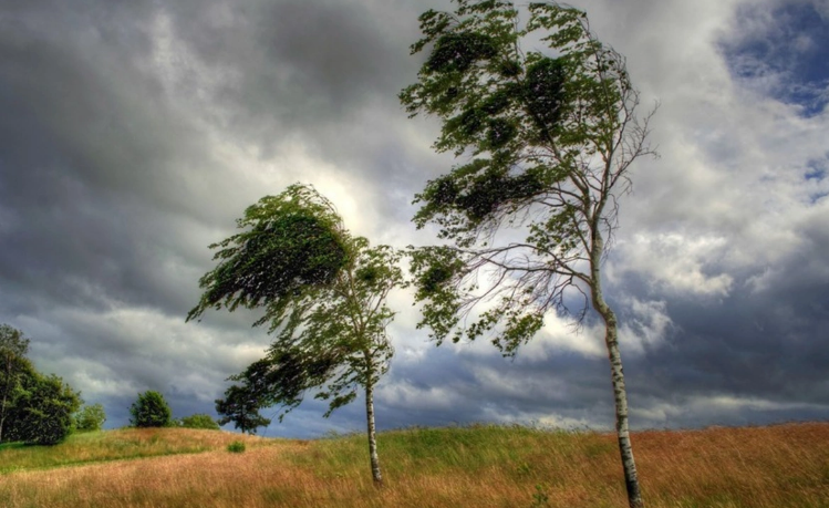 Bakıda külək güclənib, bəzi rayonlara leysan yağıb - FAKTİKİ HAVA