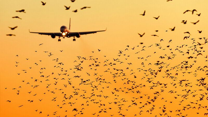 Çinin cənubunda təyyarə qəzaya uğrayıb