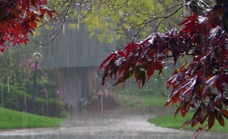 Avqustun 9-da ölkədə müşahidə edilən FAKTİKİ HAVA şəraiti