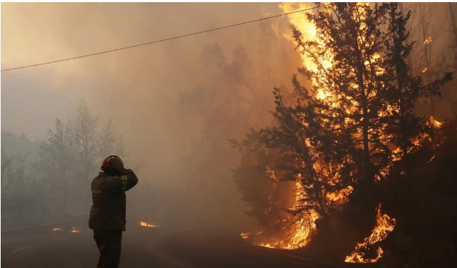 Yunanıstan meşə yanğınlarının qarşısını ala bilmir: Afina Aİ-dən kömək istəyib