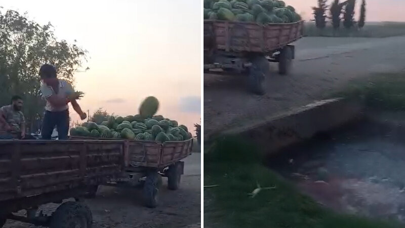 Çölə ataram, ucuz satmaram - Bərədədə tonlarla qarpız suya töküldü (VİDEO)