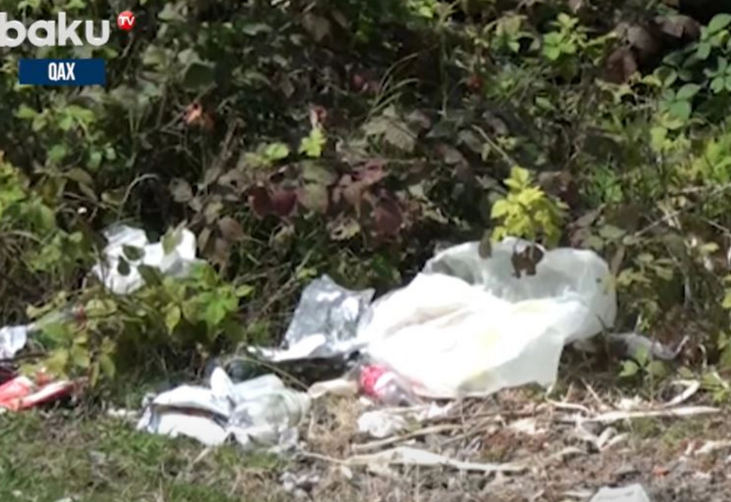 İstirahət mərkəzlərini çirkləndirənlər kimlərdir?