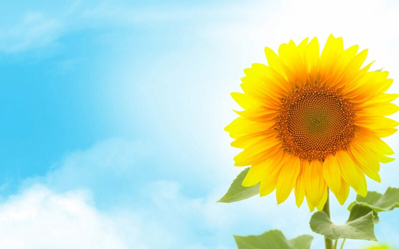 Növbəti iki gündə bəzi bölgələrdə isti hava şəraiti gözlənilir