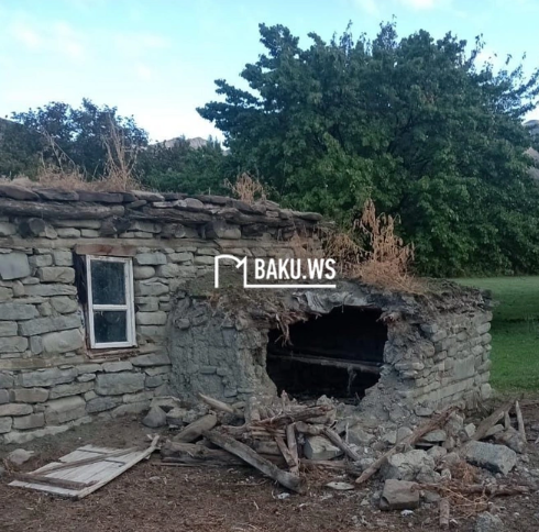 Qubada kəndə ayılar hücum edib, ev heyvanları tələf olub