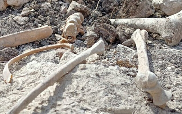 "İtkin düşmüş 15-ə yaxın şəxsin qalıqları aşkarlanıb"