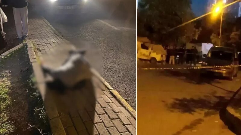 14 və 17 yaşlı yeniyetmələr arasında baş verən silahlı döyüş qətllə nəticələnib - VİDEO