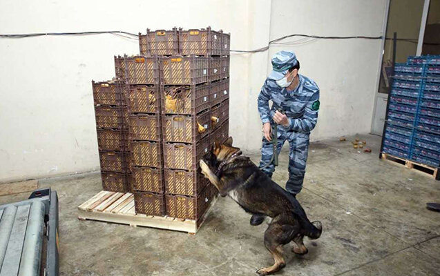 Həmin rəislər hakim qarşısına çıxarılır - Milyonlar yeyilib...