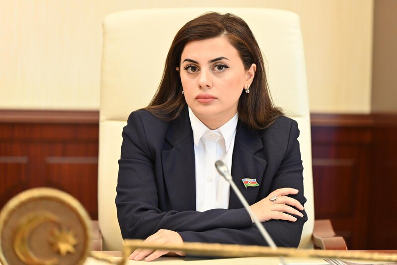 "Azərbaycanın Qarabağ regionunda yaşayan erməni əhalinin burada qalması üçün hər cür şərait yaradılmışdı" - DEPUTAT
