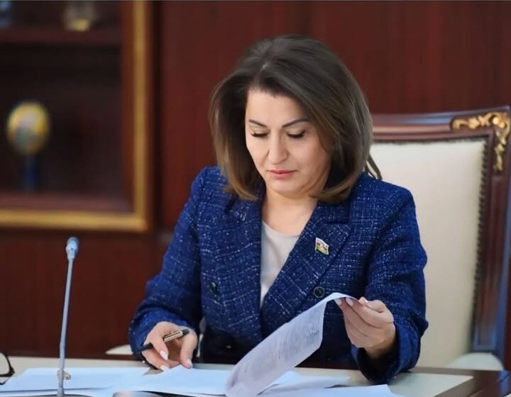 "Fransanın və digər anti-Azərbaycan siyasət yürüdən qüvvələrin Ermənistanı silahlandırması vaxt itkisindən başqa bir iş deyil" - DEPUTAT