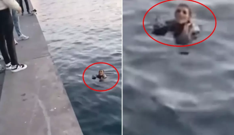 Dənizə düşən adamla qadının söhbəti viral oldu - VİDEO