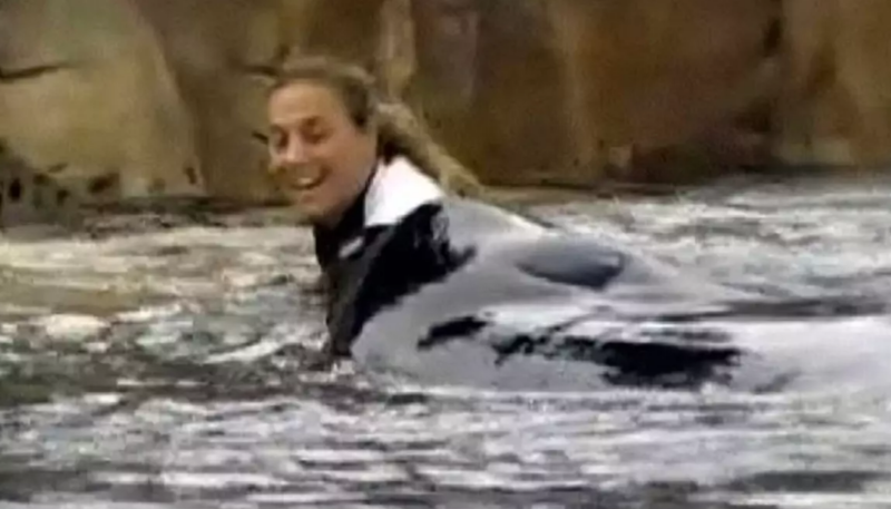 Vəhşi balina qadın məşqçinin başını dişləyərək onu öldürdü - VİDEO