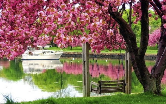 Sabah hava necə olacaq?