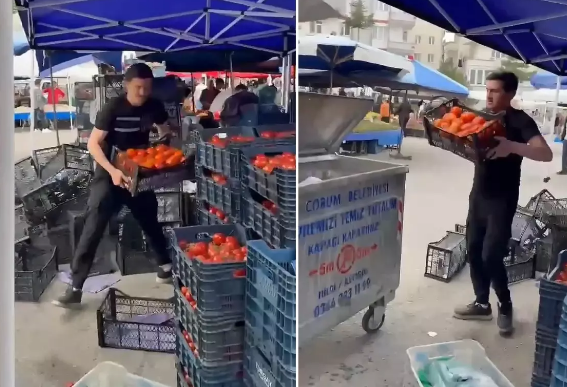 Pomidoru atan satıcıya milyonlarla cərimə kəsildi - VİDEO