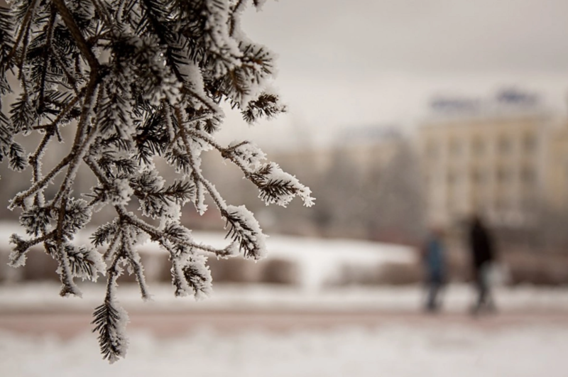 Qonşu ölkəyə QAR XƏBƏRDARLIĞI verildi - Şaxtalar qayıdır
