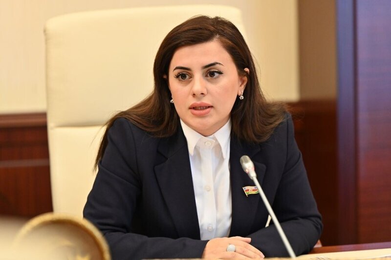 "Frank-Valter Ştaynmayerin səfəri Azərbaycan və Almaniya arasındakı münasibətlərə yeni müsbət təkan verəcək" - DEPUTAT