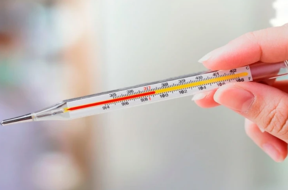 Göyçayda gənc qız qızdırmadan öldü