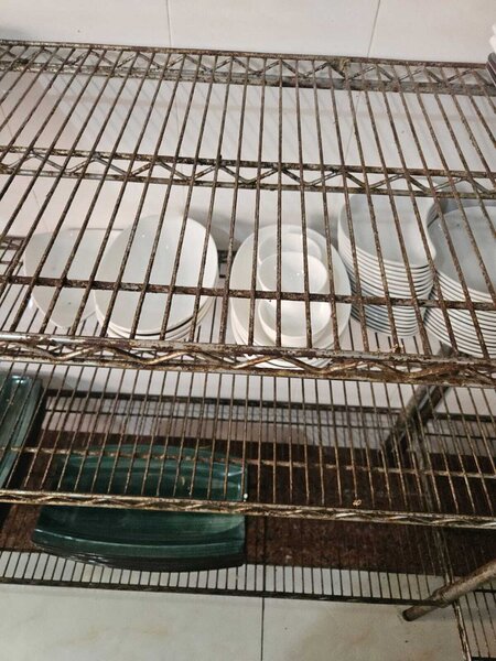 "Mona Liza"da saxta içki verilirmiş - Fotolar