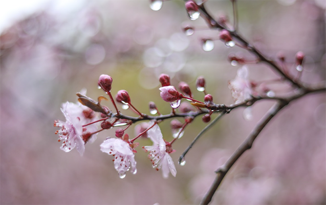 Sabah hava necə olacaq?