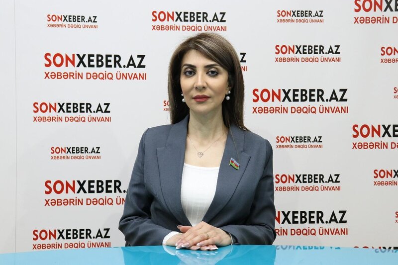 "Bu sahədə hər bir azərbaycanlının üzərinə xüsusi missiya düşür" - DEPUTAT