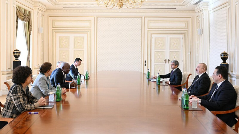 Prezident Beynəlxalq Əmək Təşkilatının Baş direktorunu qəbul etdi