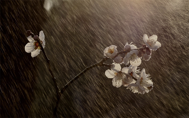 Bu ərazilərə yağış yağır