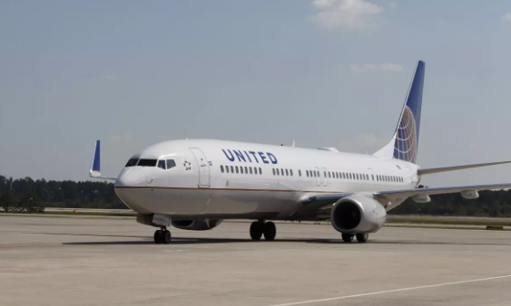 Dovşan sərnişin təyyarəsinin mühərrikinə girdi: Təcili eniş edildi - VİDEO