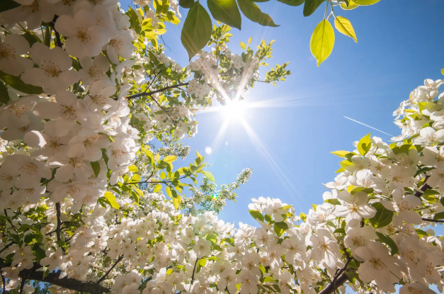 Sabah 26° isti olacaq - HAVA PROQNOZU