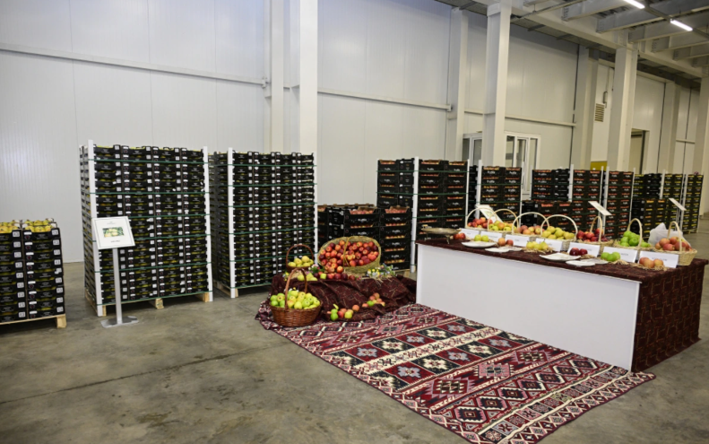 İlham Əliyev Qusar rayonunda bağçılıq və soyuducu anbar kompleksinin fəaliyyəti ilə tanış olub